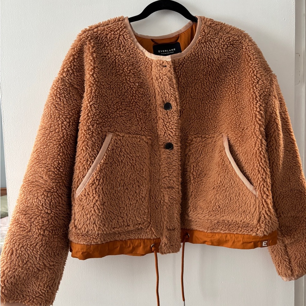 Everlane The ReNew Fleece Full Zip Shearling Inspired Fleece Teddy Bear Jacket